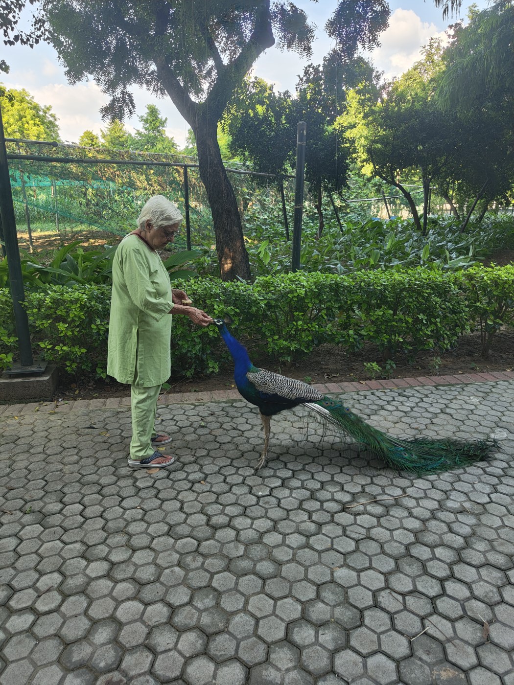 Serene Surroundings and Sunset Strolls