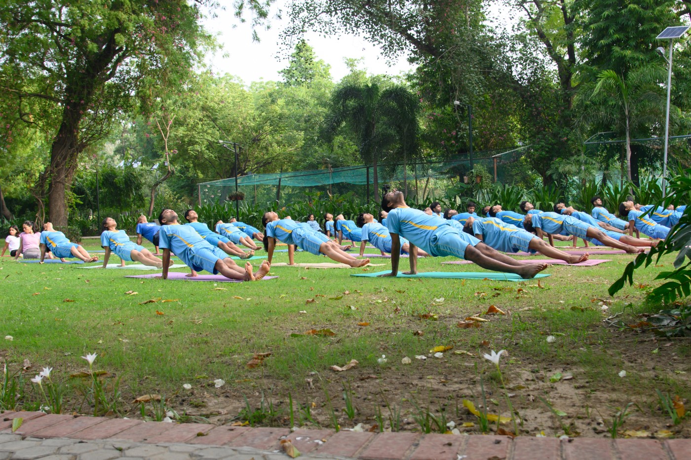 International Yoga day